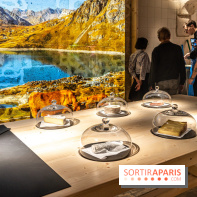 Musée du Fromage à Paris, les photos -  A7C6687