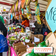 Ici Vietnam Festival à Paris - photos  -  A7C6967