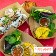 Ici Vietnam Festival à Paris - photos  -  A7C6968