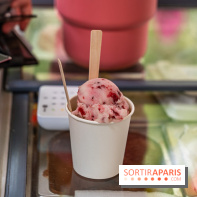 Ici Vietnam Festival à Paris - photos  -  A7C6983