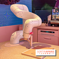 Le Café de la Rose Lancôme par Nina Métayer sur les Champs-Elysées à Paris - Exposition Siège Social Sisley   image00060   1086330