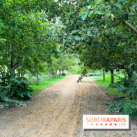 Potager-Fruitier de la Roche Guyon - nos photos - image00031