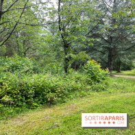 Arboretum de la Roche-Guyon - nos photos - image00011