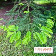 Arboretum de la Roche-Guyon - nos photos