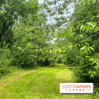 Arboretum de la Roche-Guyon - nos photos - image00002