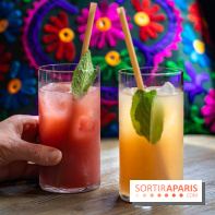 Brunch indien à Paris par Baranaan et Pingwoo -  Bar - cocktails 