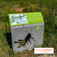 Le Parc du peuple de l'herbe dans les Yvelines - Étang de Galiotte - Carrières-sous-Poissy