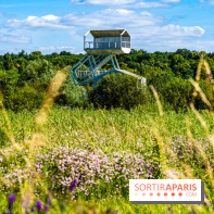 Le Parc du peuple de l'herbe dans les Yvelines - Étang de Galiotte - Carrières-sous-Poissy