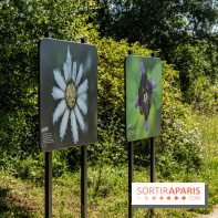 Le Parc du peuple de l'herbe dans les Yvelines - Étang de Galiotte - Carrières-sous-Poissy