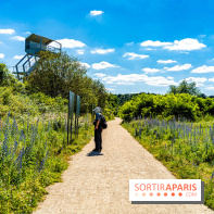 Le Parc du peuple de l'herbe dans les Yvelines - Étang de Galiotte - Carrières-sous-Poissy -  A7C7490