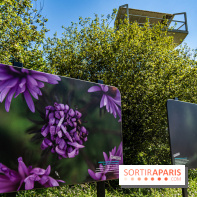 Le Parc du peuple de l'herbe dans les Yvelines - Étang de Galiotte - Carrières-sous-Poissy -  A7C7493