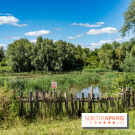 Le Parc du peuple de l'herbe dans les Yvelines - Étang de Galiotte - Carrières-sous-Poissy -  A7C7523