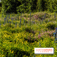 Le Parc du peuple de l'herbe dans les Yvelines - Étang de Galiotte - Carrières-sous-Poissy