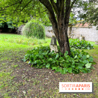 Le Jardin du Yoga à la Roche-Guyon - nos photos
