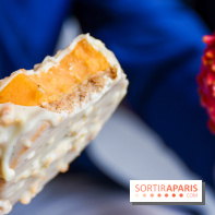 Chariot à glaces Matthieu Carlin Hôtel de Crillon 2024 - DSC 1827