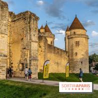 Lumières de Blandy : l'héritage des vicomtes, le spectacle sons et lumières -  A7C7946