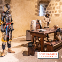 Lumières de Blandy : l'héritage des vicomtes, le spectacle sons et lumières -  A7C7952