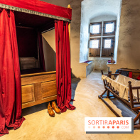 Lumières de Blandy : l'héritage des vicomtes, le spectacle sons et lumières -  A7C7959