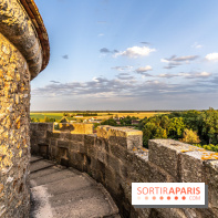 Lumières de Blandy : l'héritage des vicomtes, le spectacle sons et lumières -  A7C7967