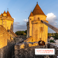 Lumières de Blandy : l'héritage des vicomtes, le spectacle sons et lumières -  A7C7975