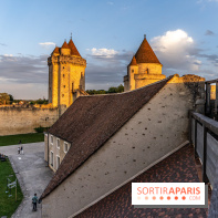 Lumières de Blandy : l'héritage des vicomtes, le spectacle sons et lumières -  A7C7976