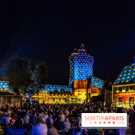 Lumières de Blandy : l'héritage des vicomtes, le spectacle sons et lumières -  A7C8121