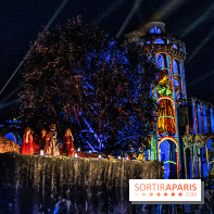 Lumières de Blandy : l'héritage des vicomtes, le spectacle sons et lumières -  A7C8153