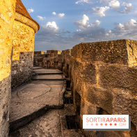 Le Château de Blandy-les-Tours en Seine-et-Marne (77), nos photos -  A7C7965