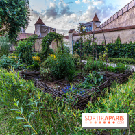 Le Château de Blandy-les-Tours en Seine-et-Marne (77), nos photos