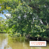 Domaine de Chamarande - nos photos - image00007