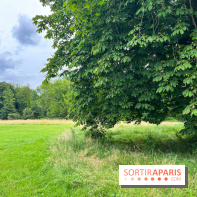 Domaine de Chamarande - nos photos - image00027