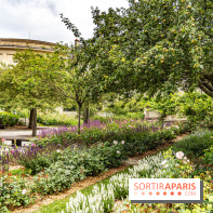 Le brunch à volonté de Chez Molly à Versailles dans les Yvelines - 78 -  jardin des senteurs