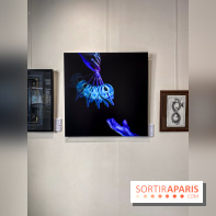 Le Cabinet de l’Oracle : l'exposition ésotérique à la galerie La Lison - IMG 8617