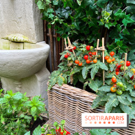 Le Potager, Roch Hotel & Spa - Potager