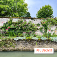 Crécy-la-Chappelle - nos photos - image00055