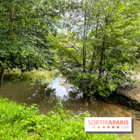 Crécy-la-Chappelle - nos photos - image00042