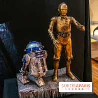 Star Wars : Fans of the Galaxy, l'expo à découvrir dans une galaxie lointaine, très lointaine - DSC 0855