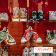 Star Wars : Fans of the Galaxy, l'expo à découvrir dans une galaxie lointaine, très lointaine - DSC 0863