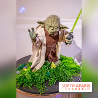 Star Wars : Fans of the Galaxy, l'expo à découvrir dans une galaxie lointaine, très lointaine - DSC 0872