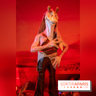 Star Wars : Fans of the Galaxy, l'expo à découvrir dans une galaxie lointaine, très lointaine - DSC 0898