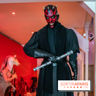 Star Wars : Fans of the Galaxy, l'expo à découvrir dans une galaxie lointaine, très lointaine - DSC 0907