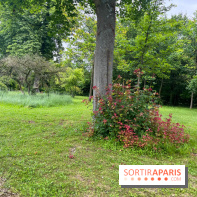 Les îles du lac inférieur, au bois de Boulogne - nos photos