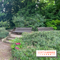 Les îles du lac inférieur, au bois de Boulogne - nos photos