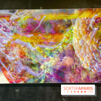 Le monde est à tous.tes - IMG 2543