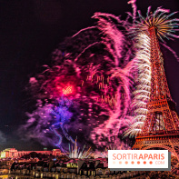 Feu d'artifice du 14 juillet de Paris 2024, les photos 