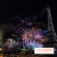 Feu d'artifice du 14 juillet de Paris 2024, les photos 