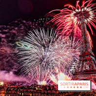 Feu d'artifice du 14 juillet de Paris 2024, les photos 