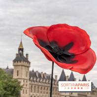 Jeux Olympiques de Paris 2024 relais de la flamme -  A7C9433