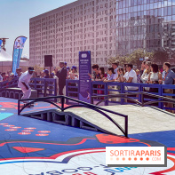 Saint-Gobain Skate Game