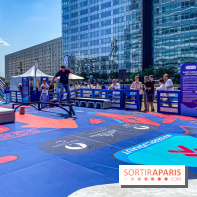 Saint-Gobain Skate Game